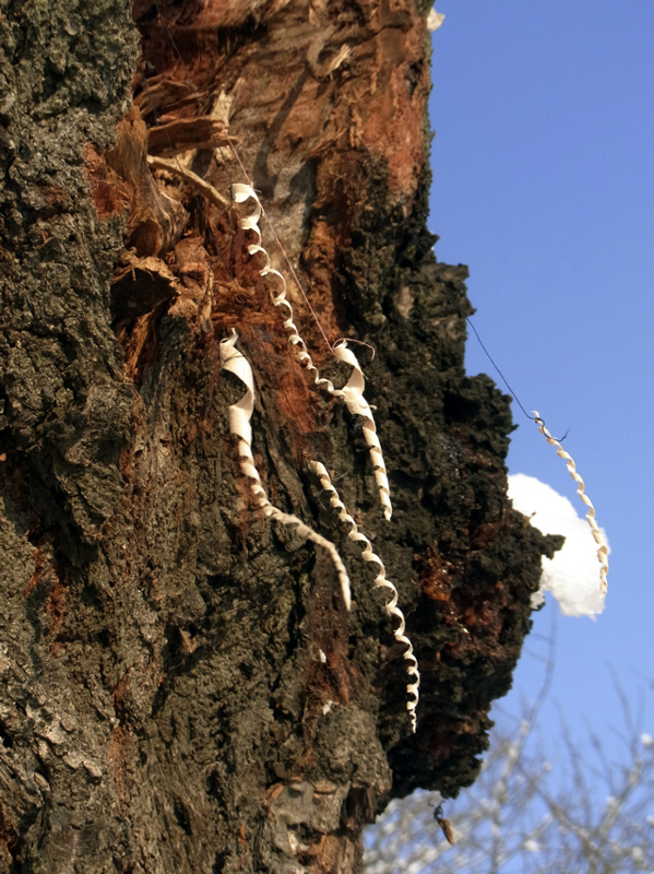 RIMG0345.JPG